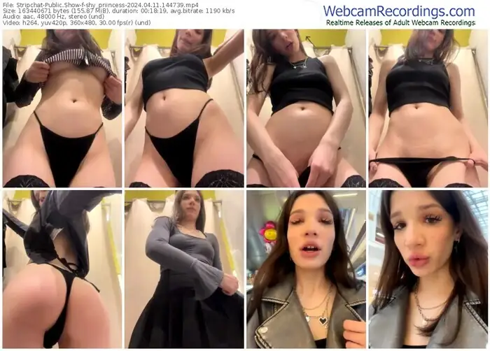 stripchat-shy_priincess-04-11-2024-14-47-39