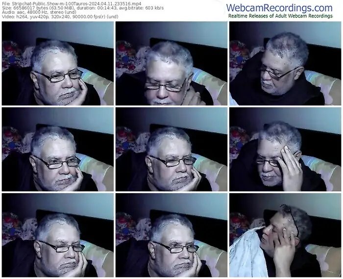 stripchat-100tauros-04-11-2024-23-35-16