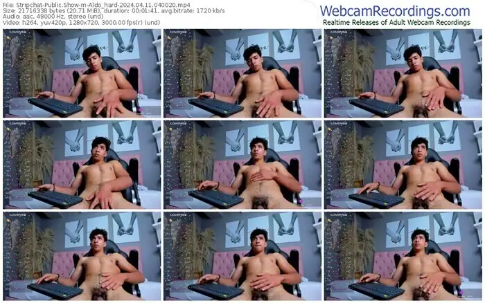 stripchat-aldo_hard-04-11-2024-04-00-20