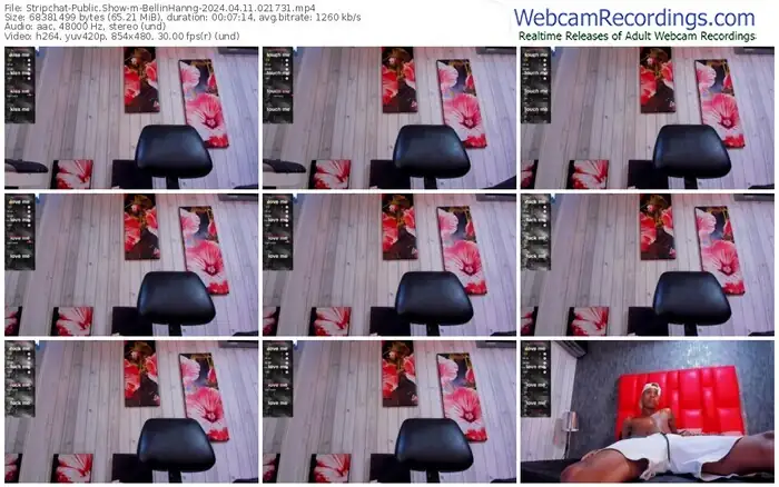 stripchat-bellinhanng-04-11-2024-02-17-31