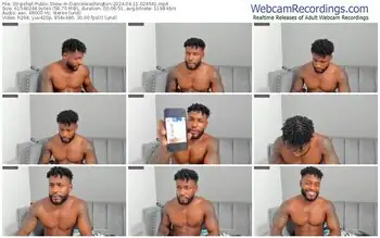 stripchat-dancelwashington-04-11-2024-02-45-41