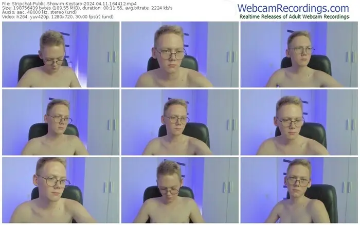 stripchat-keytaro-04-11-2024-16-44-12