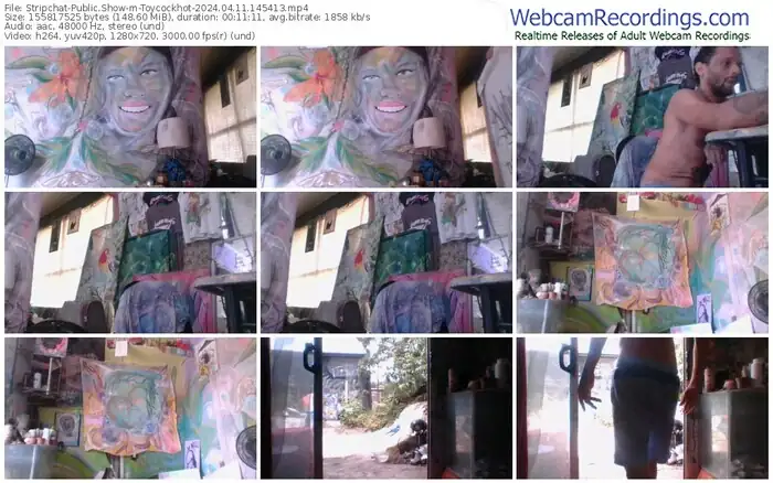 stripchat-toycockhot-04-11-2024-14-54-13