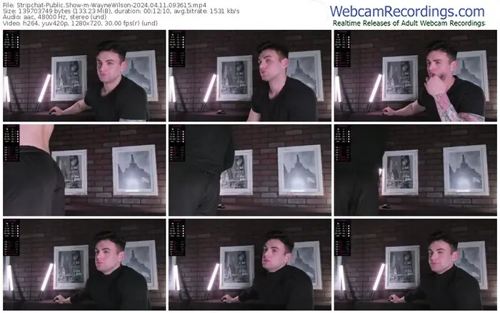 stripchat-waynewilson-04-11-2024-09-36-15
