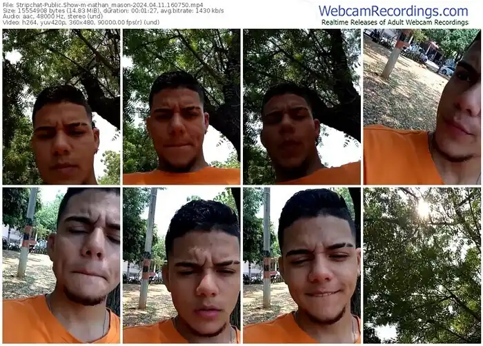 stripchat-nathan_mason-04-11-2024-16-07-50