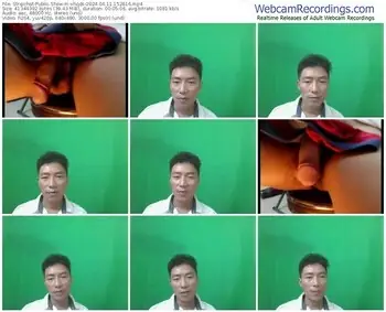 stripchat-xhqds-04-11-2024-15-28-16