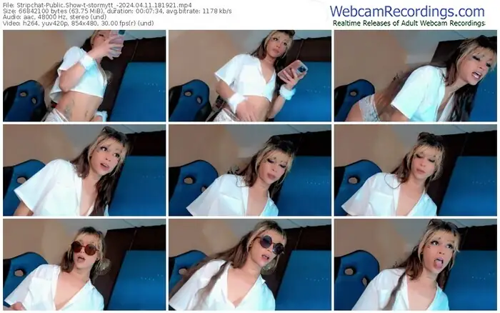 stripchat-stormytt_-04-11-2024-18-19-21