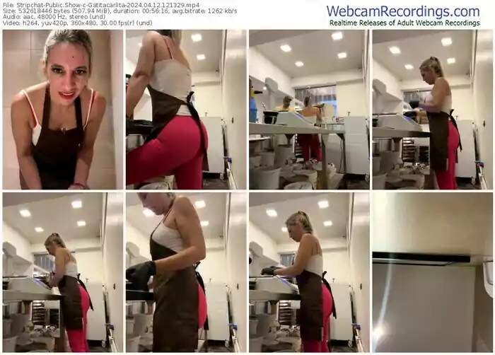 stripchat-gatitacarlita-04-12-2024-12-13-29