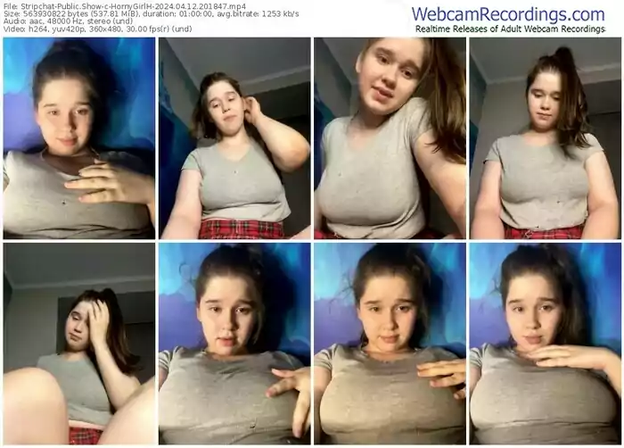 stripchat-hornygirlh-04-12-2024-20-18-47