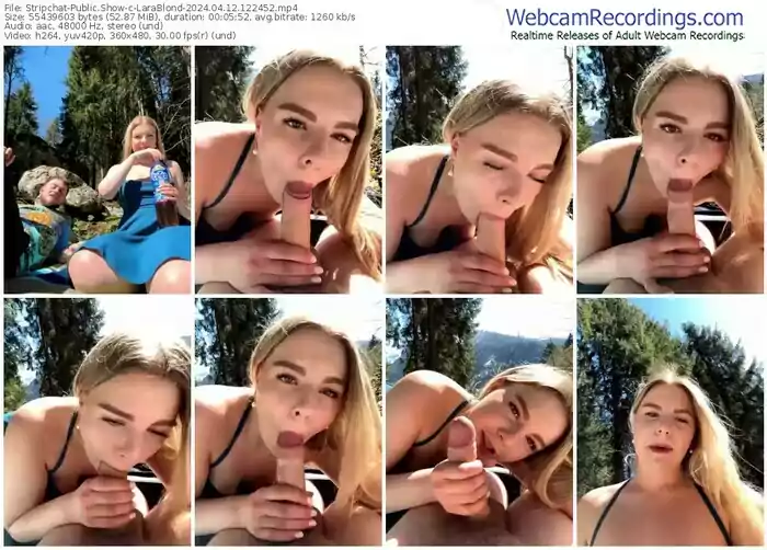 stripchat-larablond-04-12-2024-12-24-52