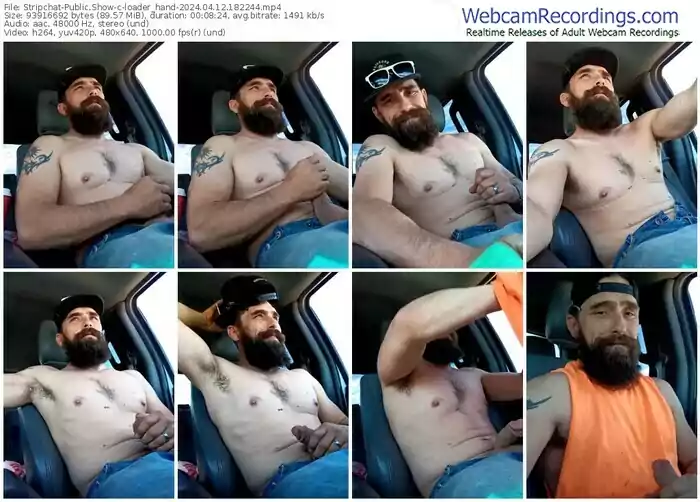 stripchat-loader_hand-04-12-2024-18-22-44