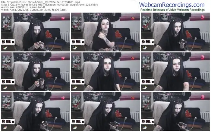 stripchat-dark__elf-04-12-2024-23-40-11