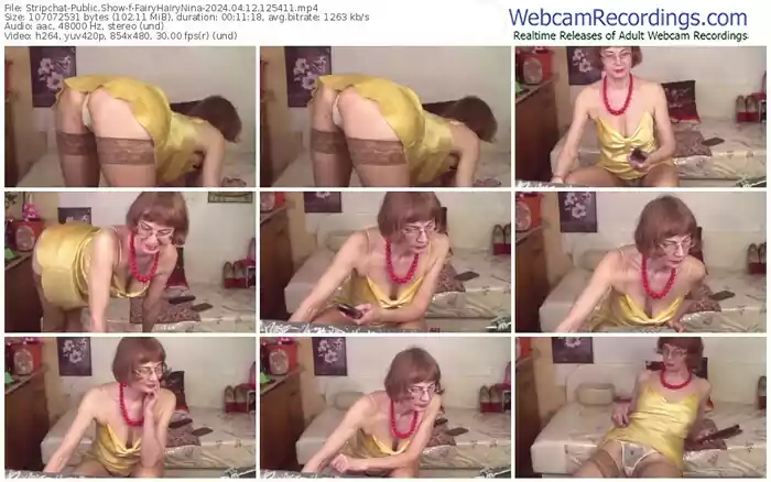 stripchat-fairyhairynina-04-12-2024-12-54-11