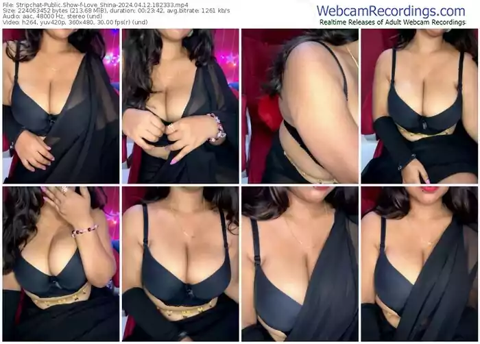 stripchat-love_shina-04-12-2024-18-23-33