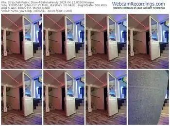 stripchat-selenafendy-04-12-2024-03-50-04
