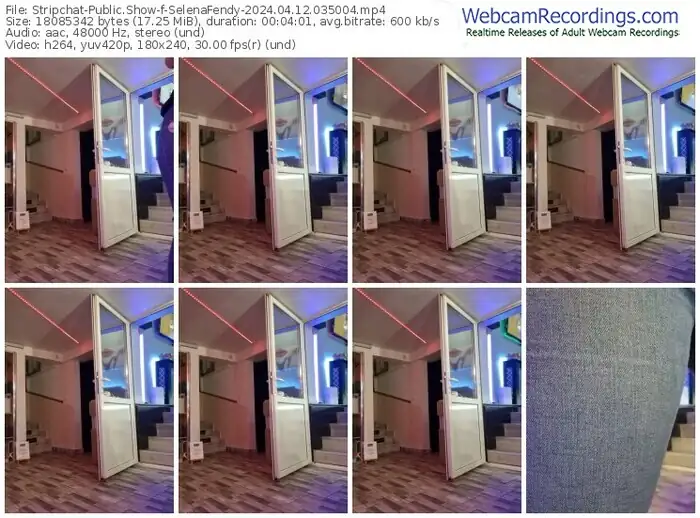 stripchat-selenafendy-04-12-2024-03-50-04