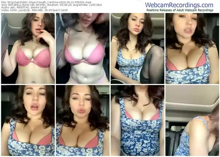 stripchat-south_carolina-04-12-2024-09-50-01