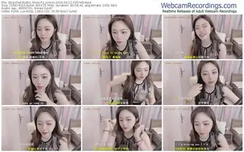 stripchat-z_xinxin-04-12-2024-03-57-48