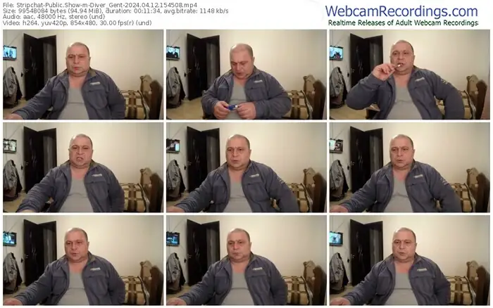 stripchat-diver_gent-04-12-2024-15-45-08