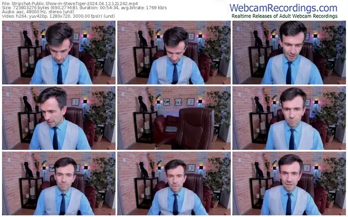 stripchat-stevetiger-04-12-2024-12-12-42