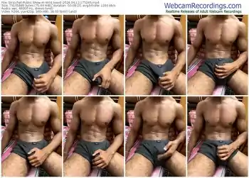 stripchat-wild_beast-04-12-2024-17-53-45