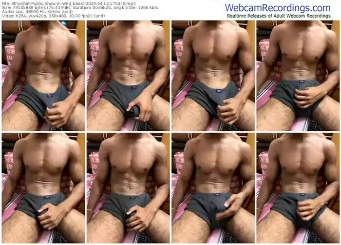 stripchat-wild_beast-04-12-2024-17-53-45