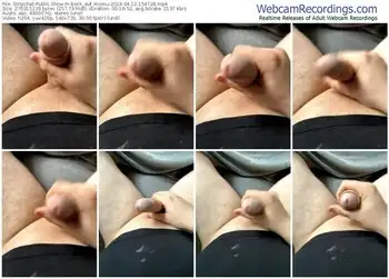 stripchat-bock_auf_mumu-04-12-2024-15-47-28