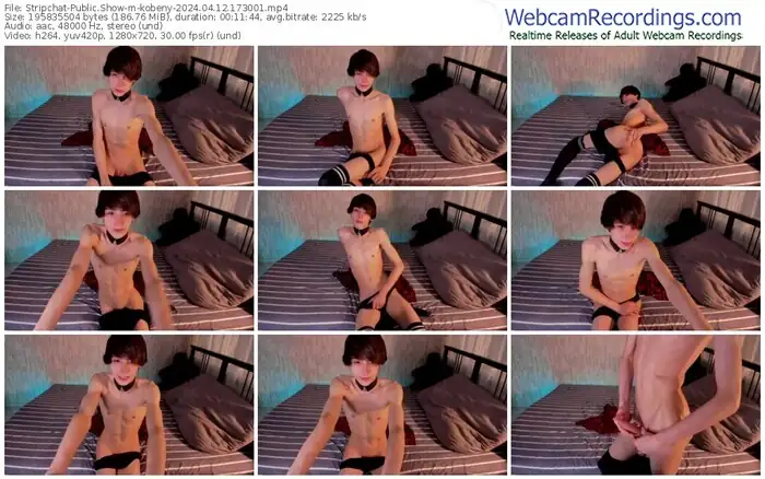 stripchat-kobeny-04-12-2024-17-30-01