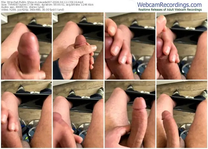 stripchat-nevada007-04-12-2024-13-31-16