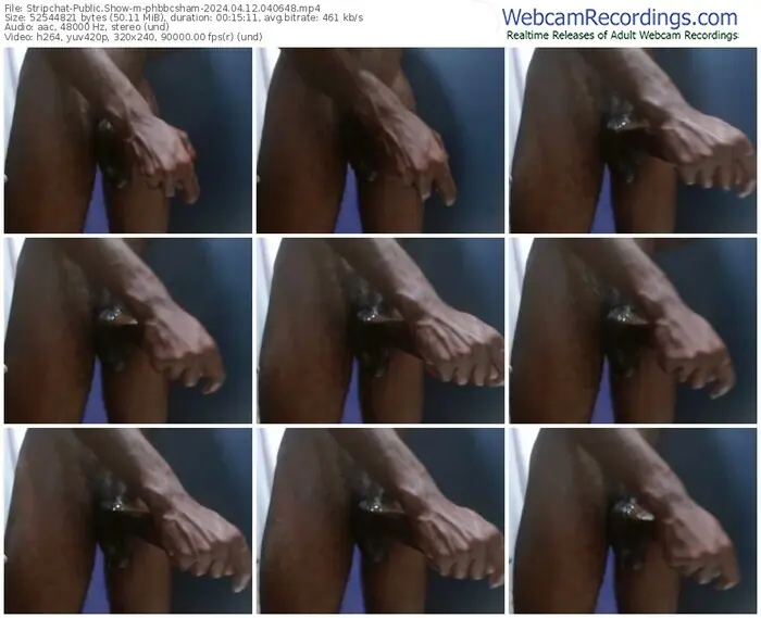 stripchat-phbbcsham-04-12-2024-04-06-48