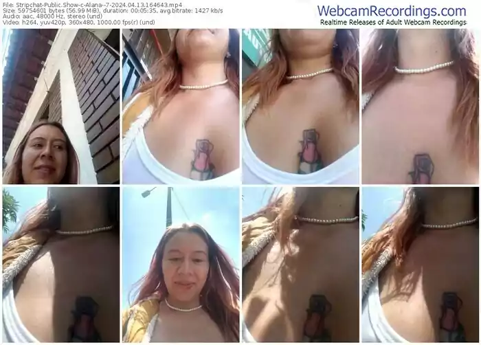 stripchat-alana--7-04-13-2024-16-46-43