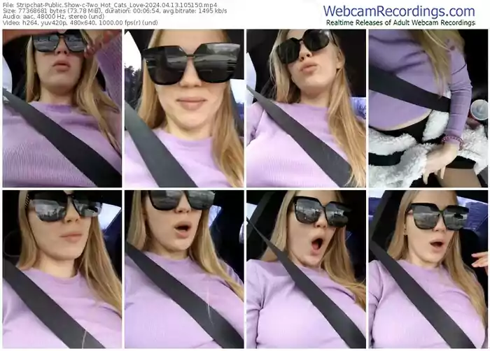 stripchat-two_hot_cats_love-04-13-2024-10-51-50