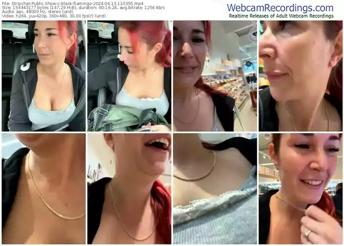 stripchat-black-flamingo-04-13-2024-11-03-55