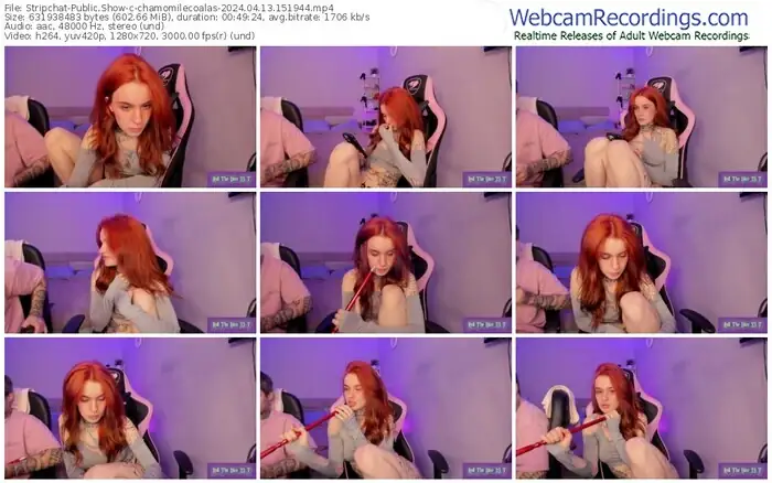 stripchat-chamomilecoalas-04-13-2024-15-19-44