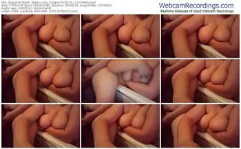 stripchat-shy_c0uple-04-13-2024-00-44-40