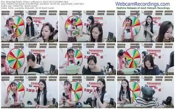 stripchat-ydhymsv1-04-13-2024-15-08-44