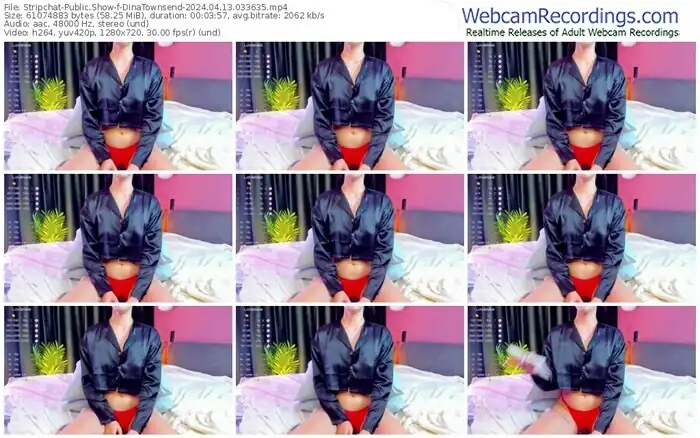 stripchat-dinatownsend-04-13-2024-03-36-35