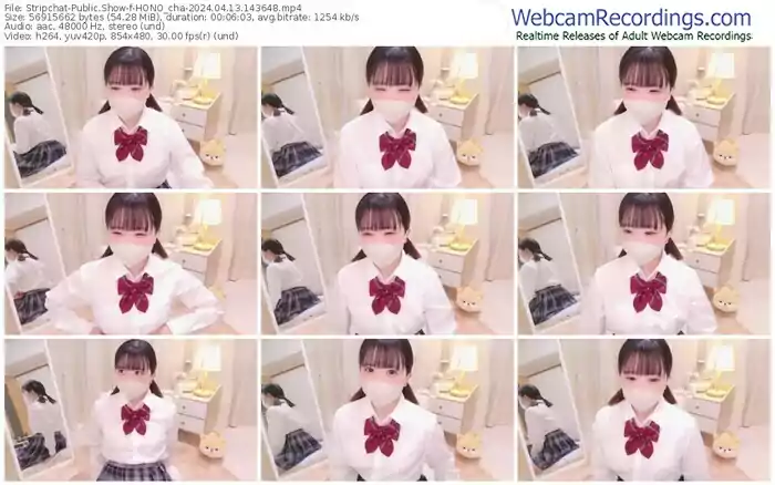 stripchat-hono_cha-04-13-2024-14-36-48