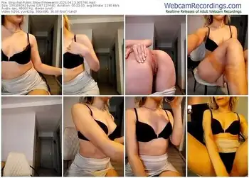 stripchat-meeeeriiii-04-13-2024-00-57-40