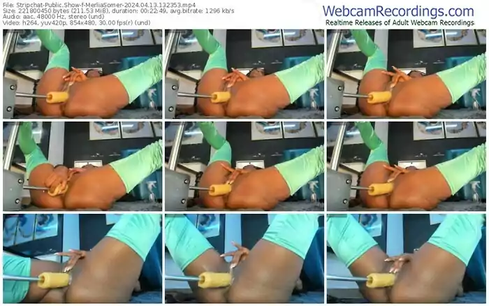 stripchat-merliasomer-04-13-2024-13-23-53