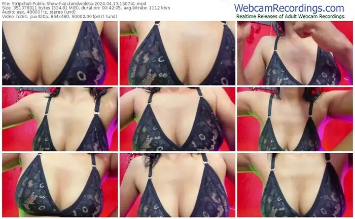 stripchat-azulandvioleta-04-13-2024-15-07-41