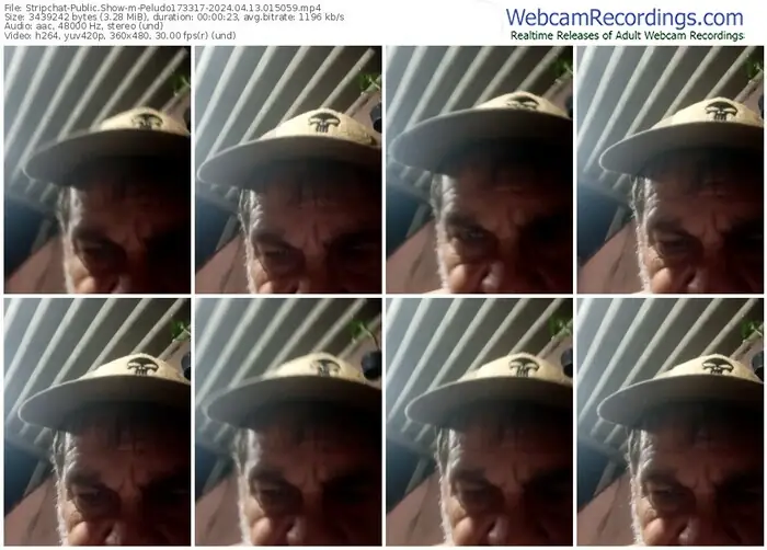 stripchat-peludo173317-04-13-2024-01-50-59