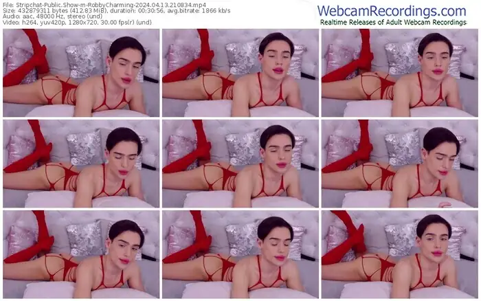 stripchat-robbycharming-04-13-2024-21-08-34