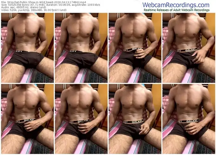stripchat-wild_beast-04-13-2024-17-48-42