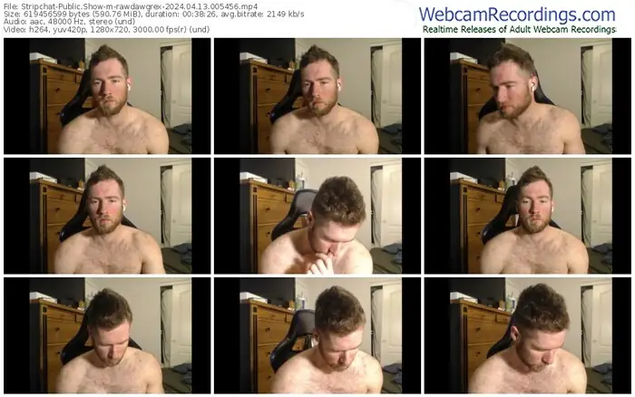 stripchat-rawdawgrex-04-13-2024-00-54-56