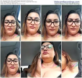 stripchat-gabrielleink-04-13-2024-04-24-14