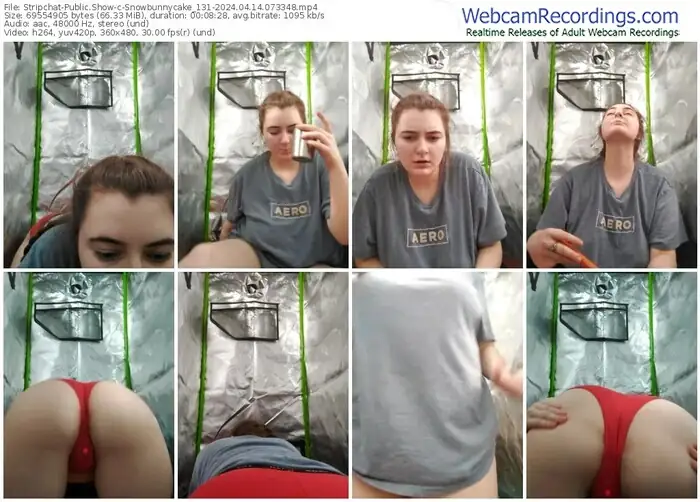 stripchat-snowbunnycake_131-04-14-2024-07-33-48