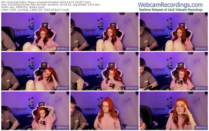 stripchat-chamomilecoalas-04-14-2024-23-22-57