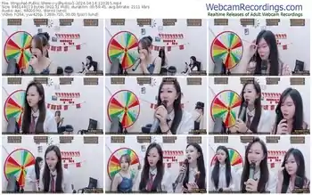 stripchat-ydhymsv1-04-14-2024-12-03-15