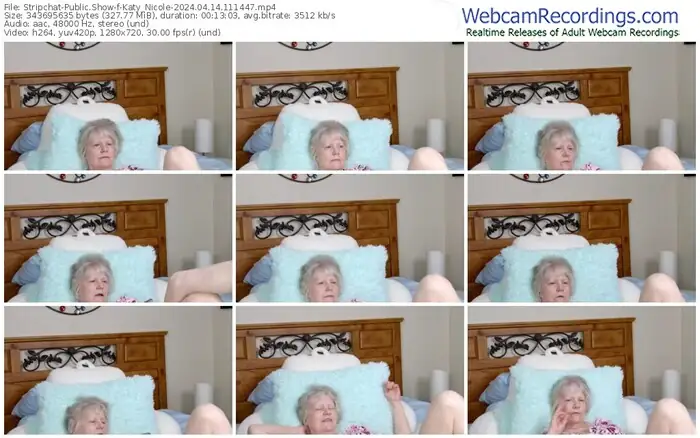 stripchat-katy_nicole-04-14-2024-11-14-47
